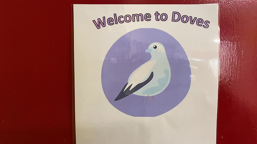Julie takes you on a guided tour around the Babybirds Doves room